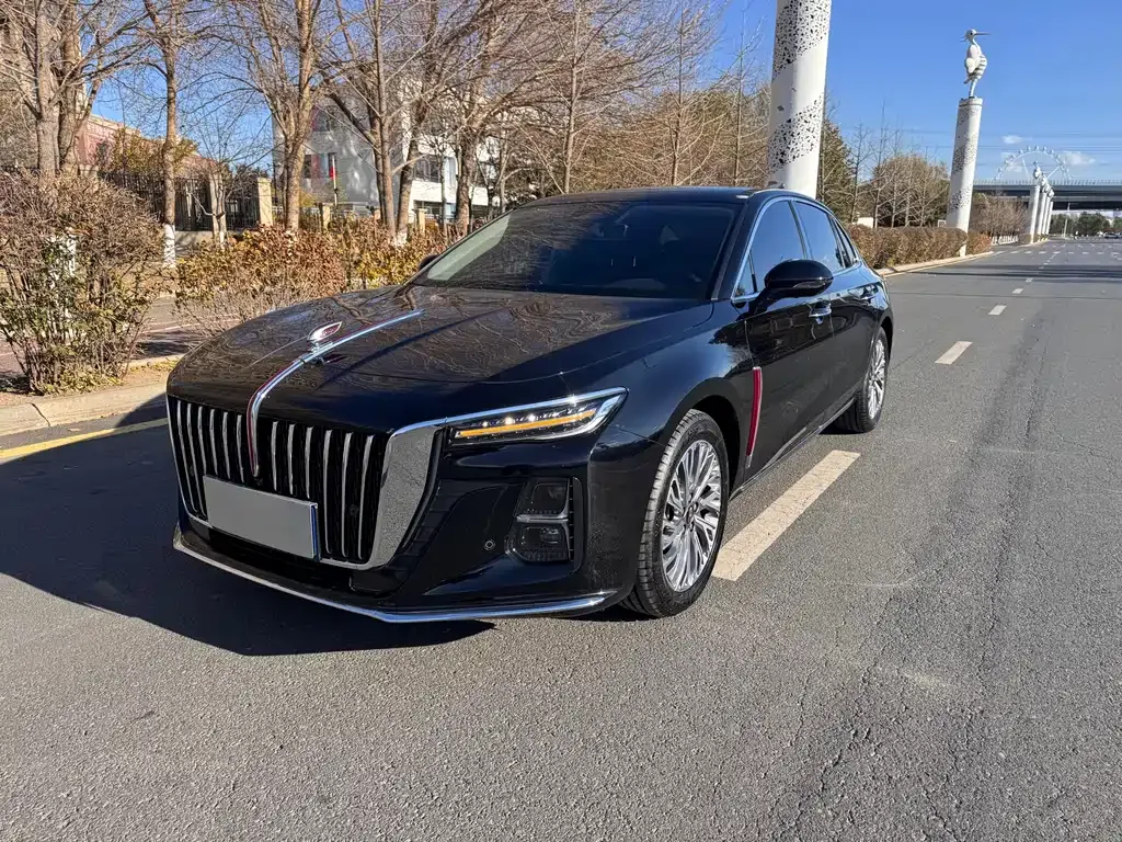 Hongqi H5 2023 из CN, фото 1