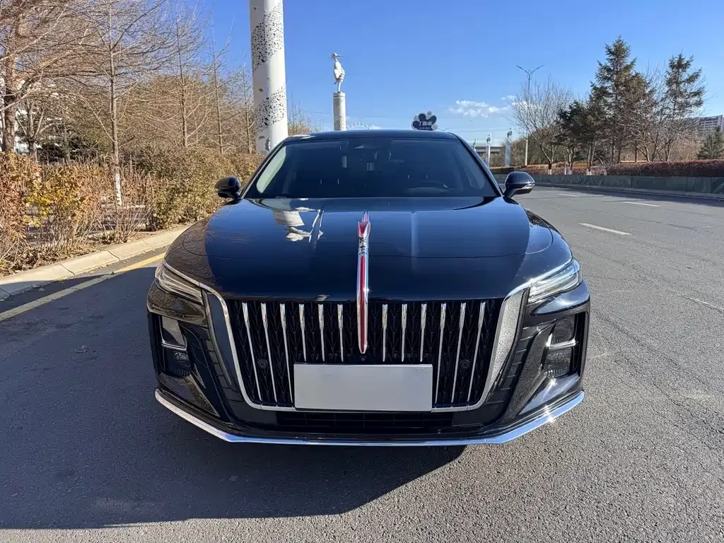 Hongqi H5 2023 из CN, фото 2