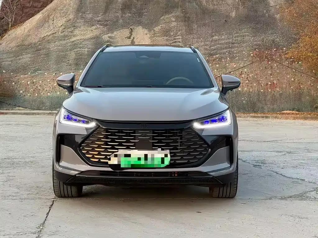 BYD Tang New Energy 2024 из CN, фото 1