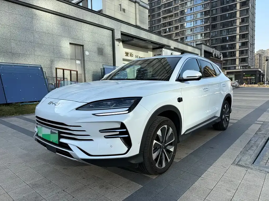 BYD PLUS New Energy 2025 из CN, фото 1