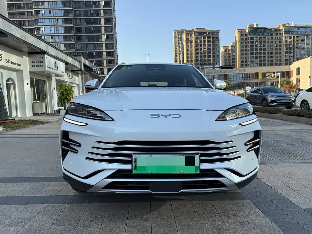 BYD PLUS New Energy 2025 из CN, фото 2