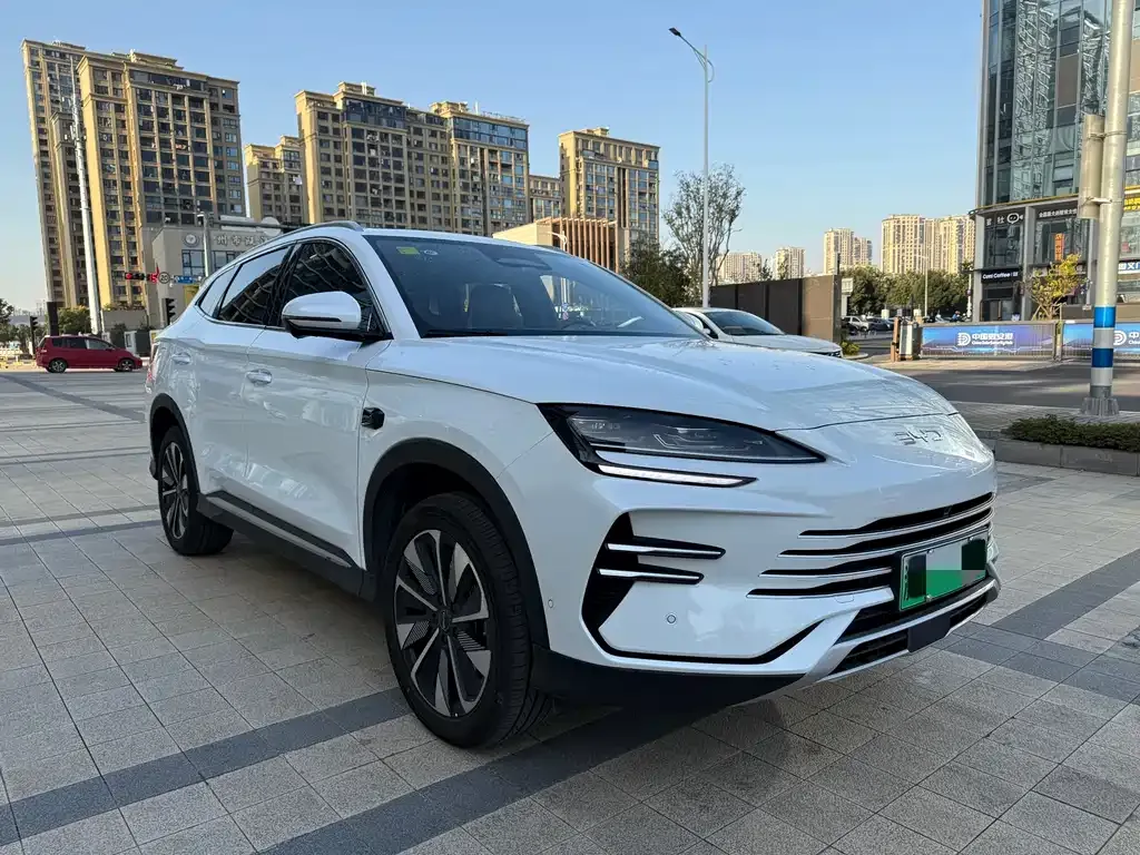 BYD PLUS New Energy 2025 из CN, фото 3