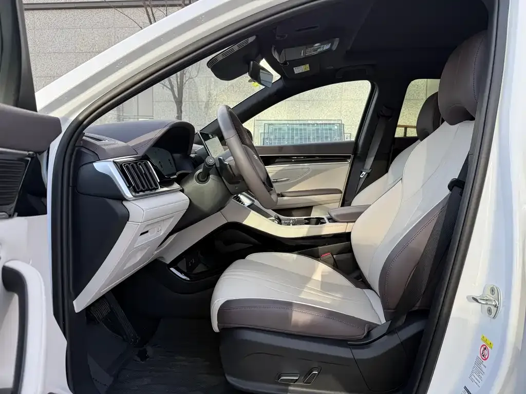 BYD PLUS New Energy 2025 из CN, фото 4