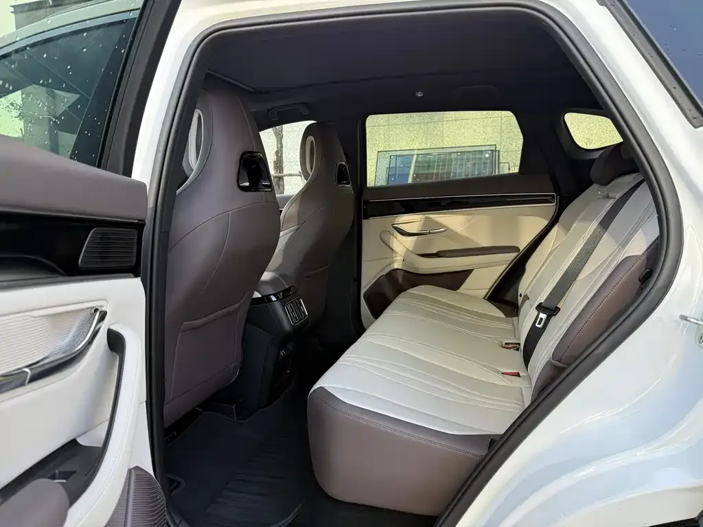 BYD PLUS New Energy 2025 из CN, фото 5