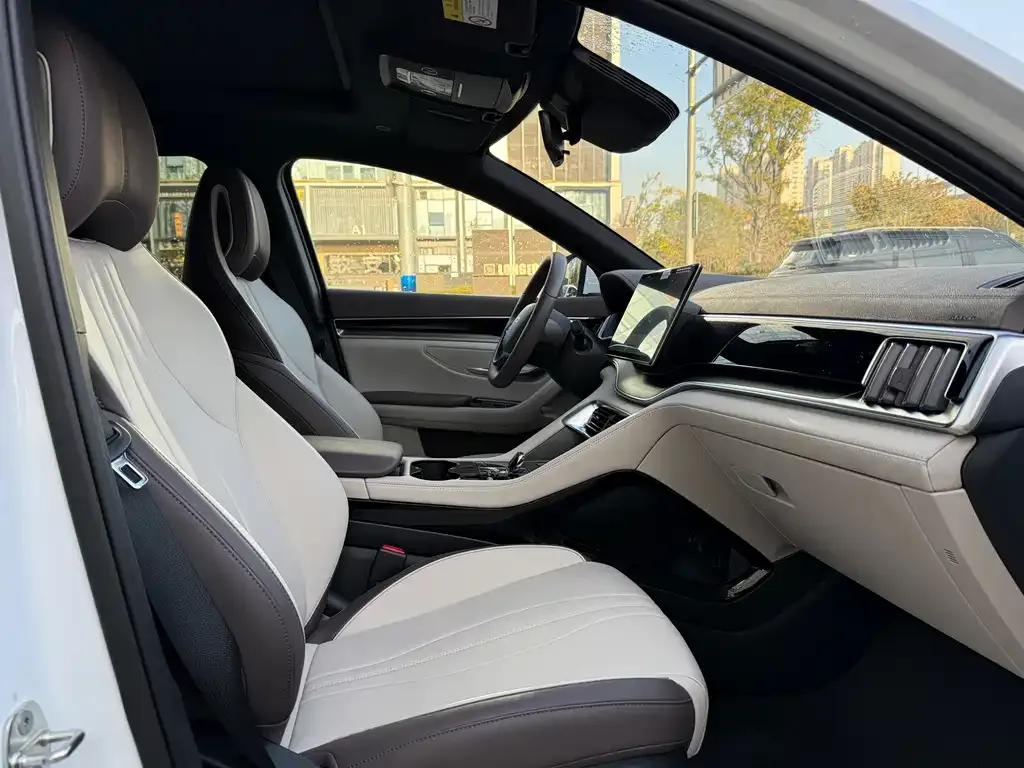 BYD PLUS New Energy 2025 из CN, фото 9