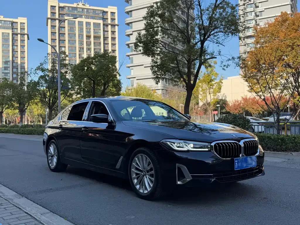 BMW 5 Series 2024 из CN, фото 3