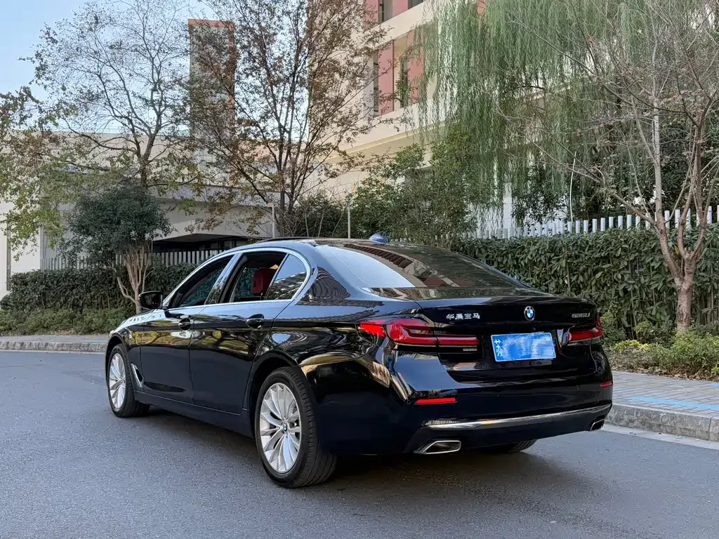 BMW 5 Series 2024 из CN, фото 4