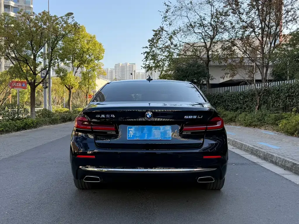 BMW 5 Series 2024 из CN, фото 5