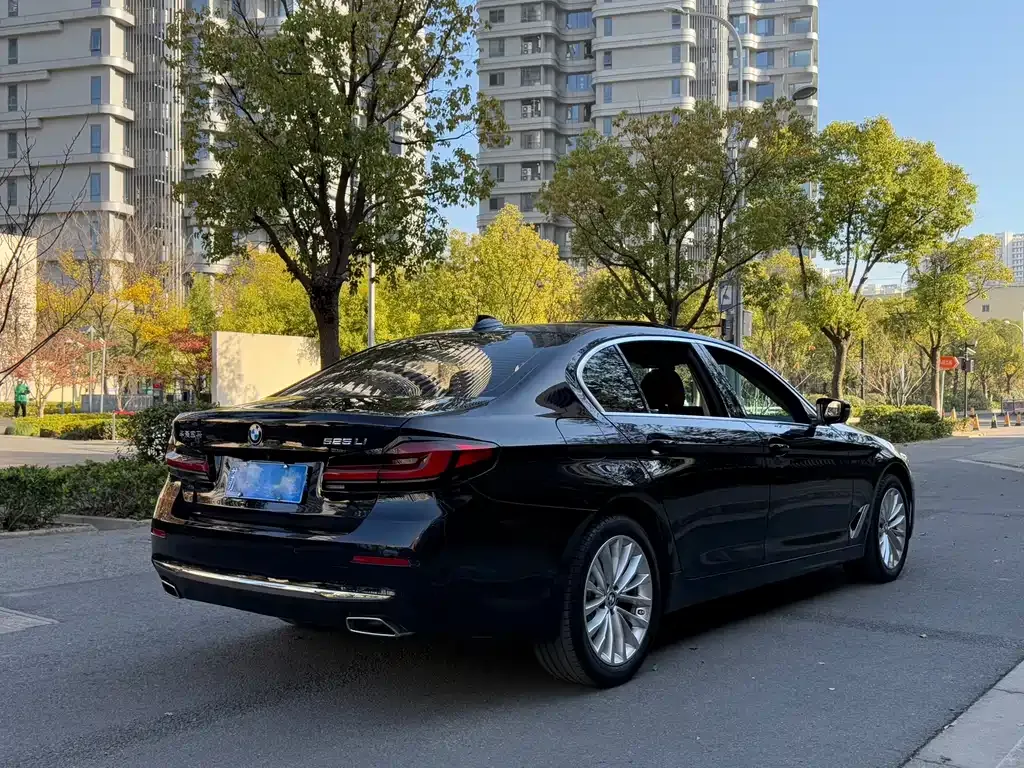 BMW 5 Series 2024 из CN, фото 6