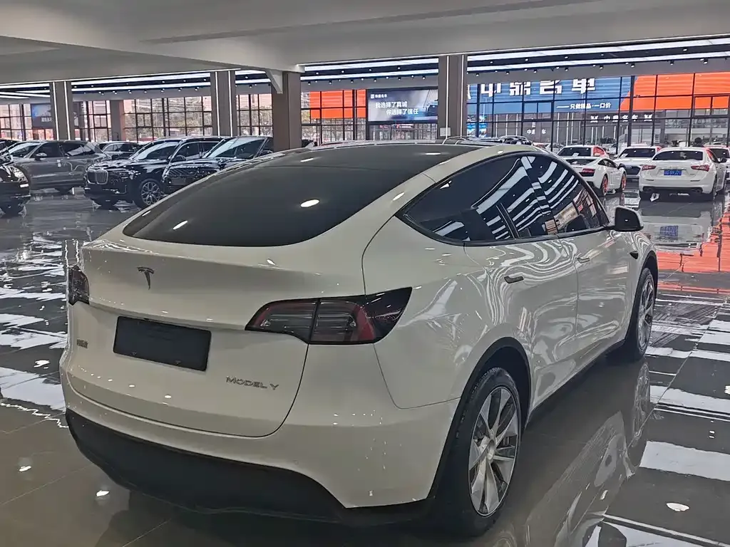 Tesla Model Y — фото 6