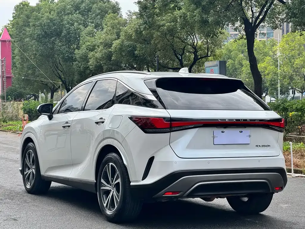 Lexus RX 2023 из CN, фото 10