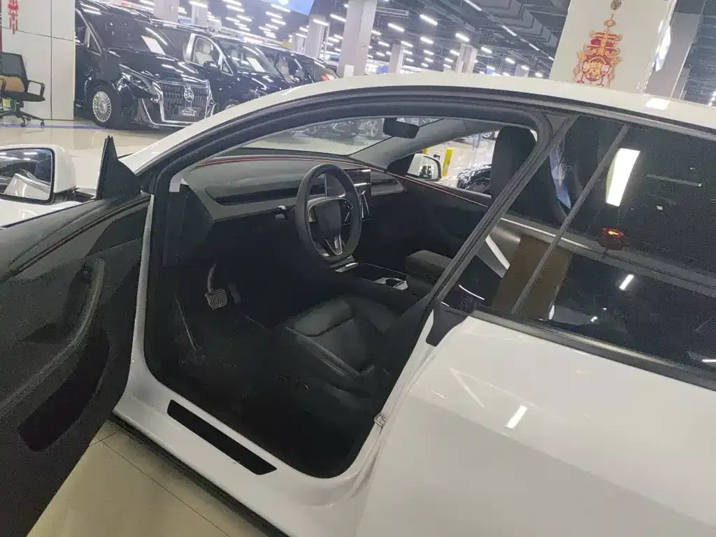 Tesla Model Y 2025 из CN, фото 3