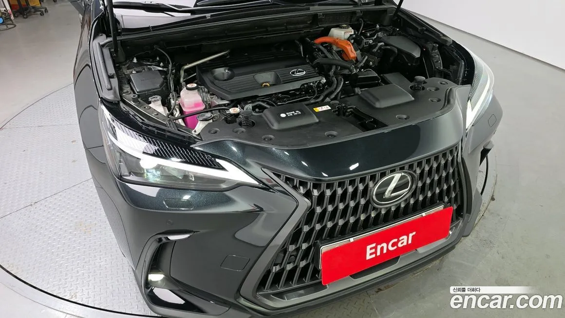 Lexus NX 2023 из KR, фото 6