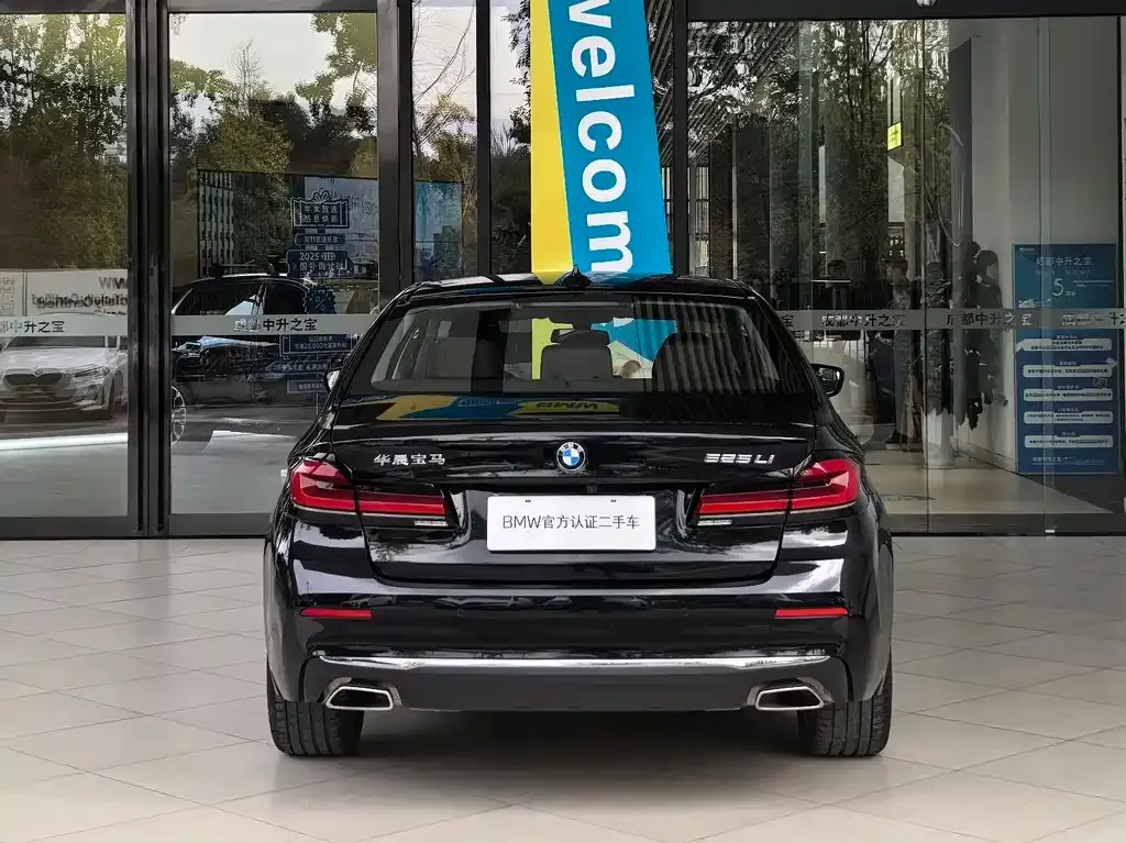 BMW 5 Series 2024 из CN, фото 4