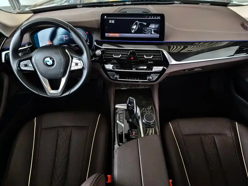 BMW 5 Series 2024 из CN, фото 6
