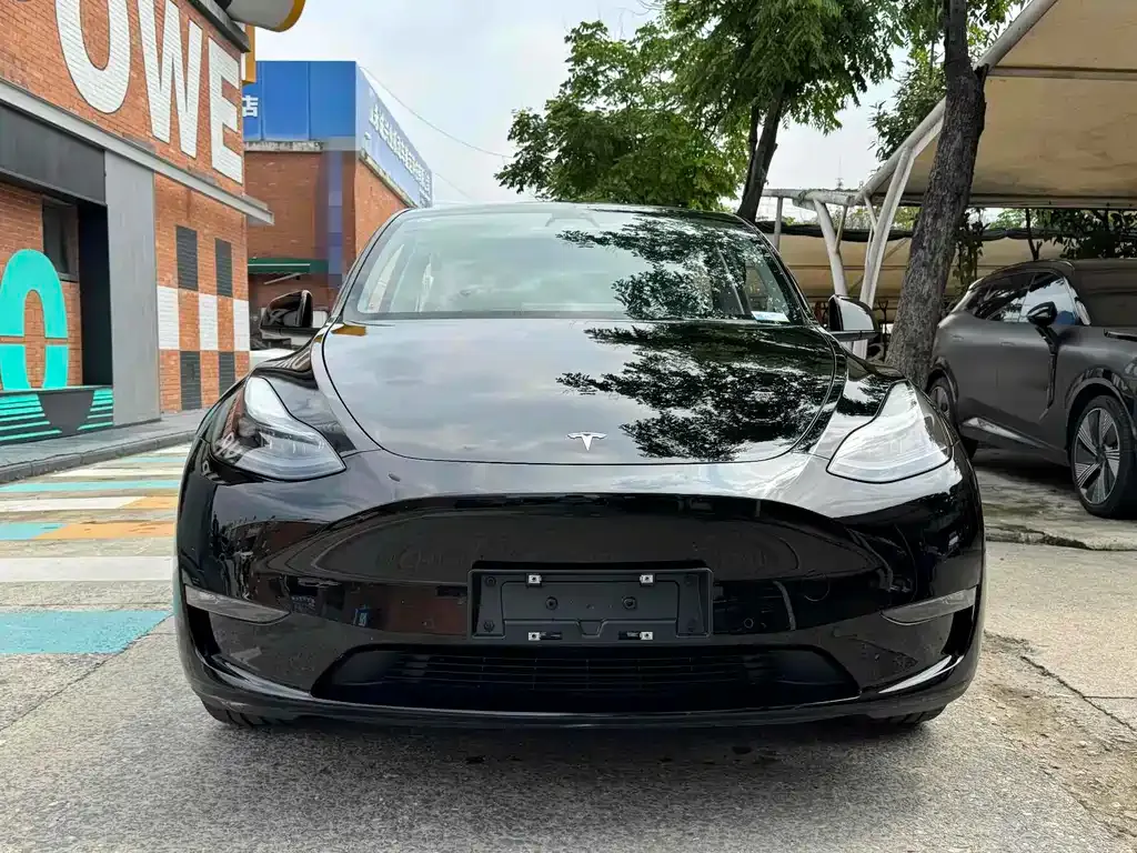 Tesla Model Y 2023 из CN, фото 2