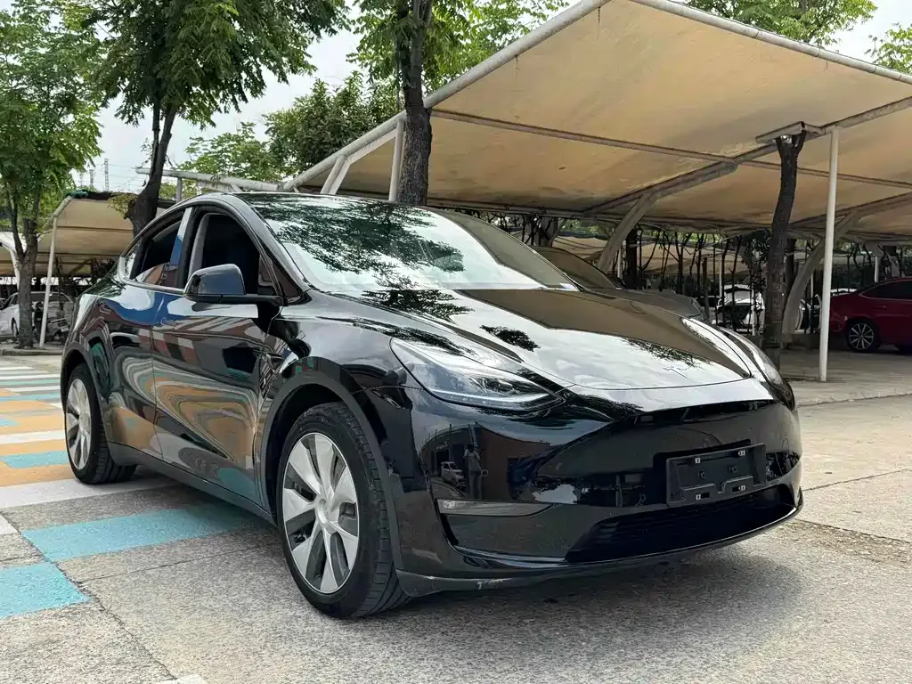 Tesla Model Y 2023 из CN, фото 3