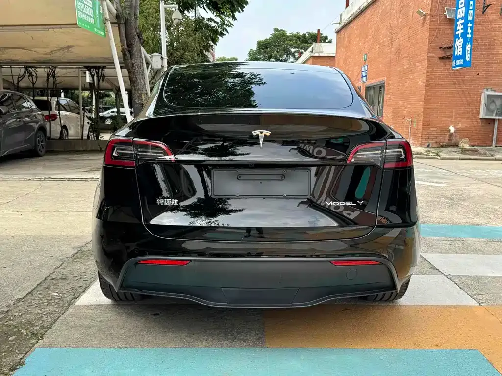 Tesla Model Y 2023 из CN, фото 8