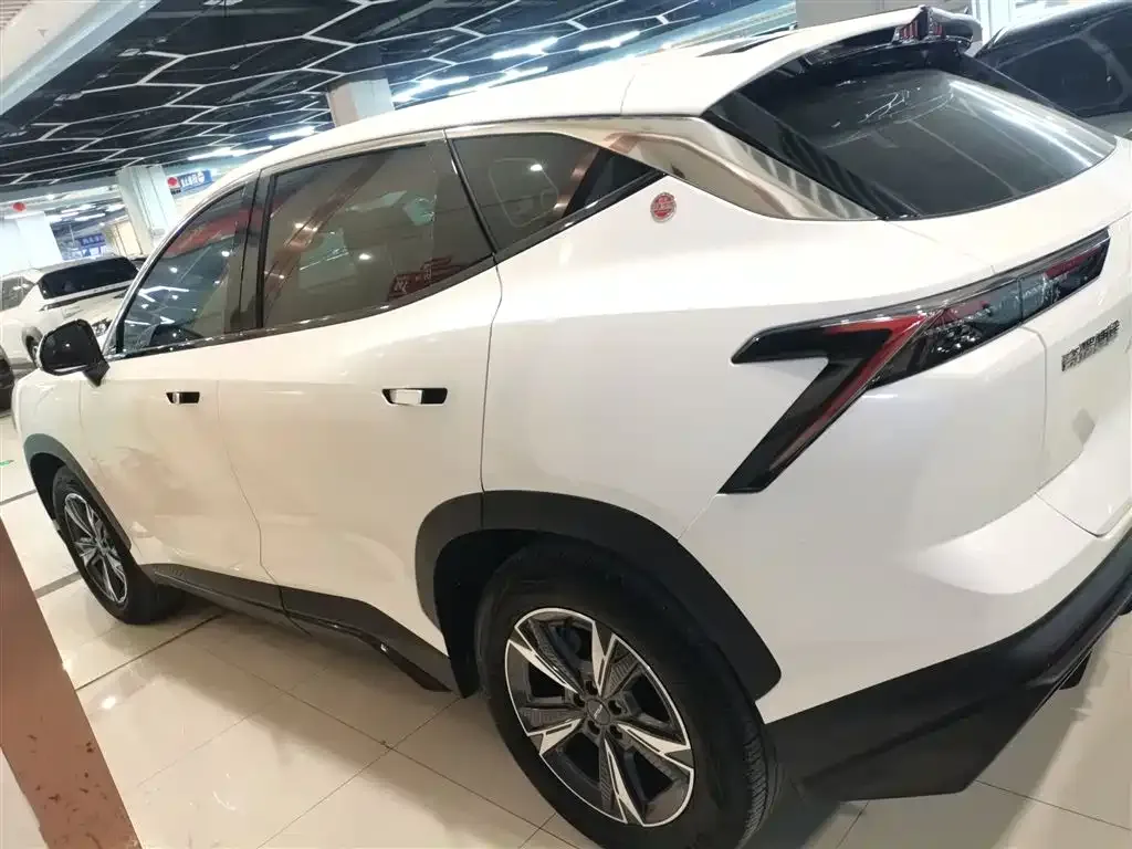 Jetour Dasheng 2023 из CN, фото 5