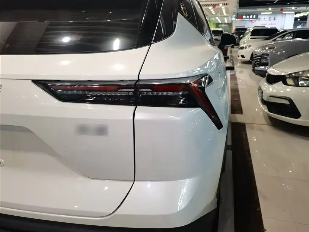 Jetour Dasheng 2023 из CN, фото 8