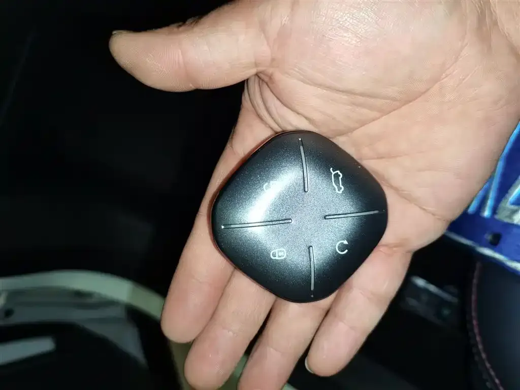 Jetour Dasheng 2023 из CN, фото 9