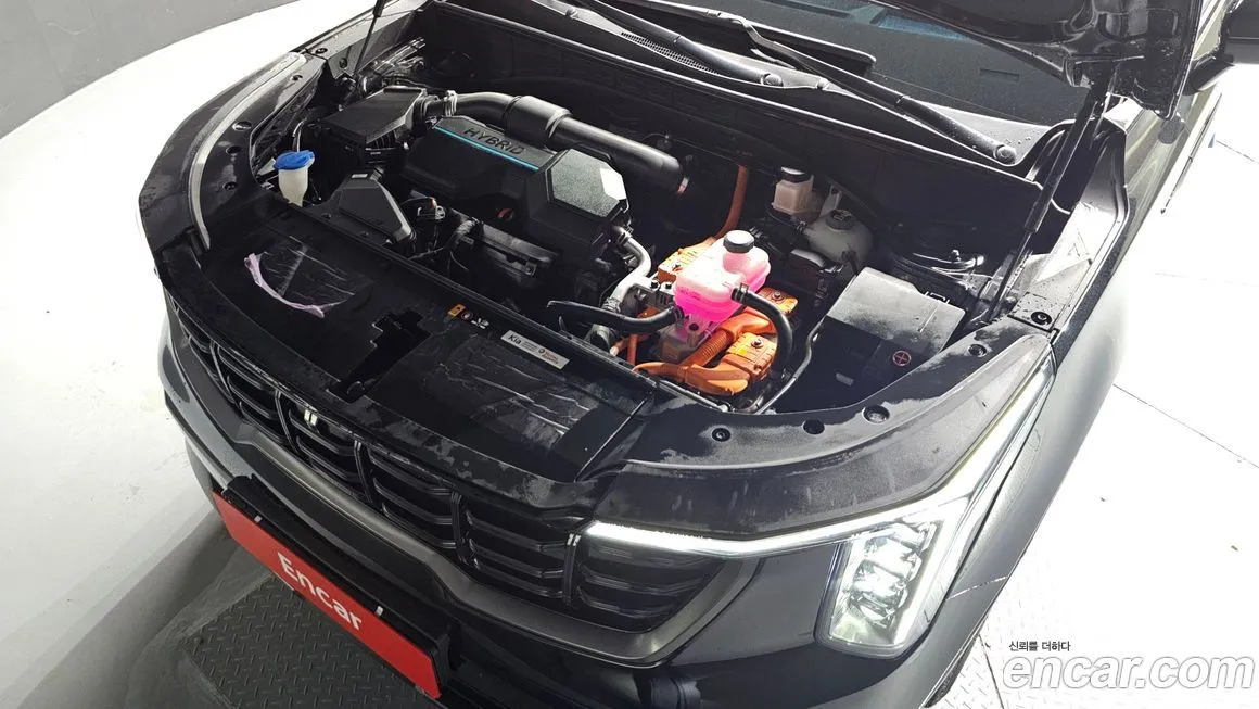 [object Object] Sorento 2024 из KR, фото 6