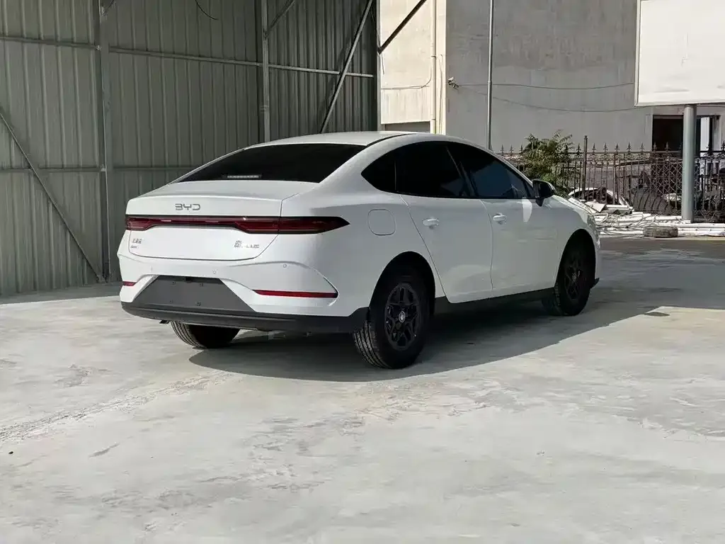 BYD Qin PLUS — фото 4