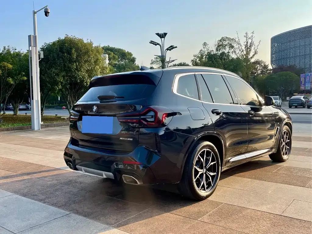 BMW X3 2023 из CN, фото 6
