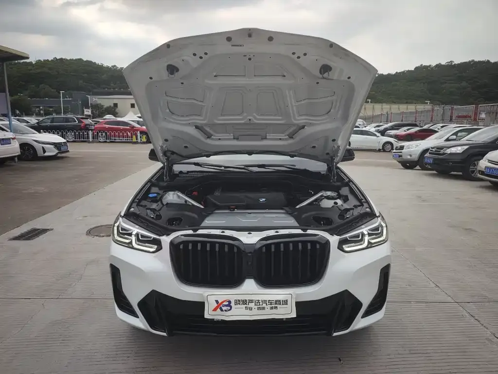 BMW X3 2023 из CN, фото 4