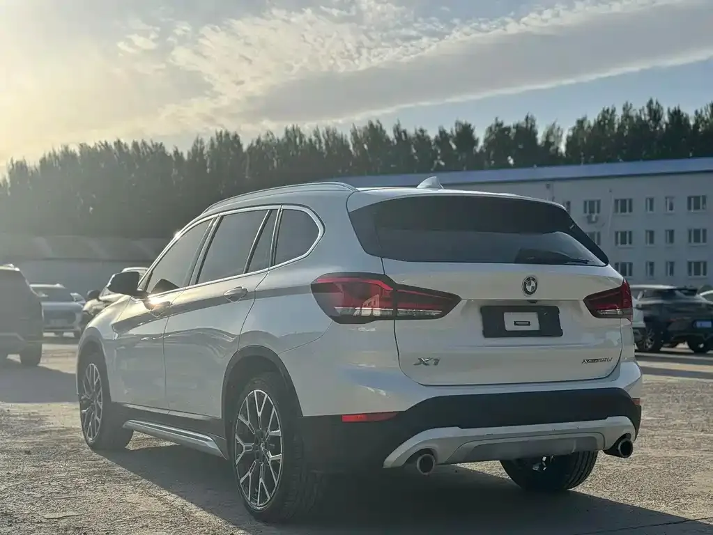 BMW X1 2021 из CN, фото 7