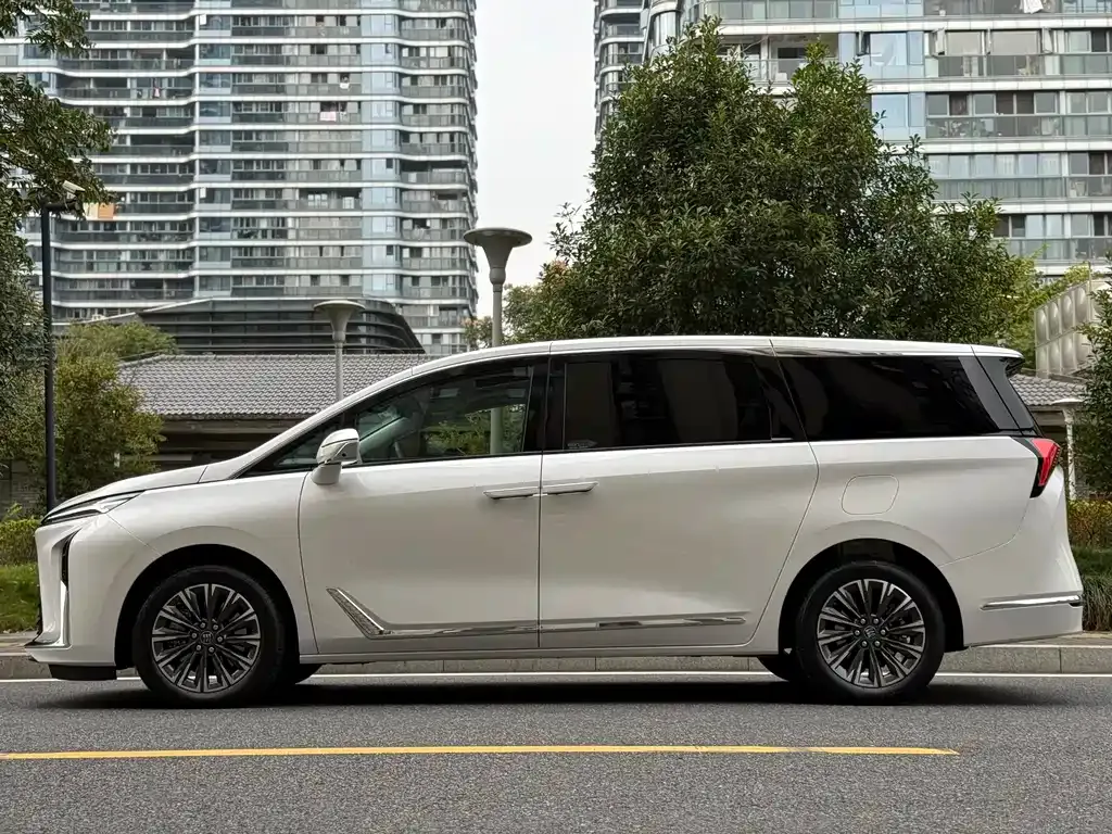 Buick GL8 2024 из CN, фото 4