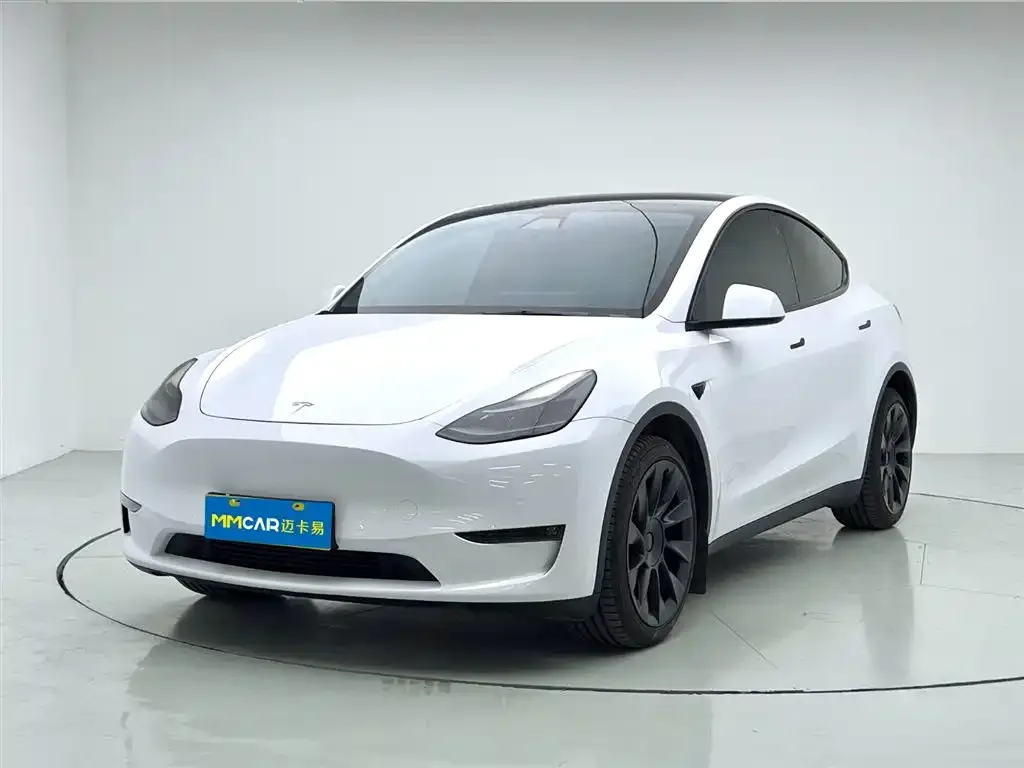 Tesla Model Y 2021 из CN, фото 1