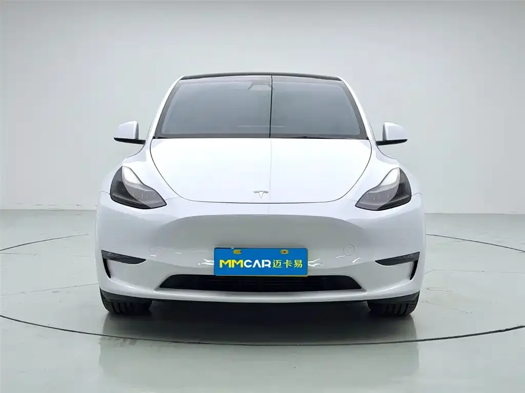Tesla Model Y 2021 из CN, фото 2