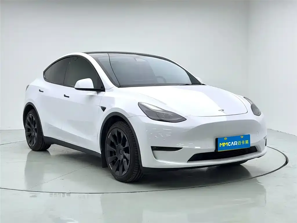 Tesla Model Y 2021 из CN, фото 3