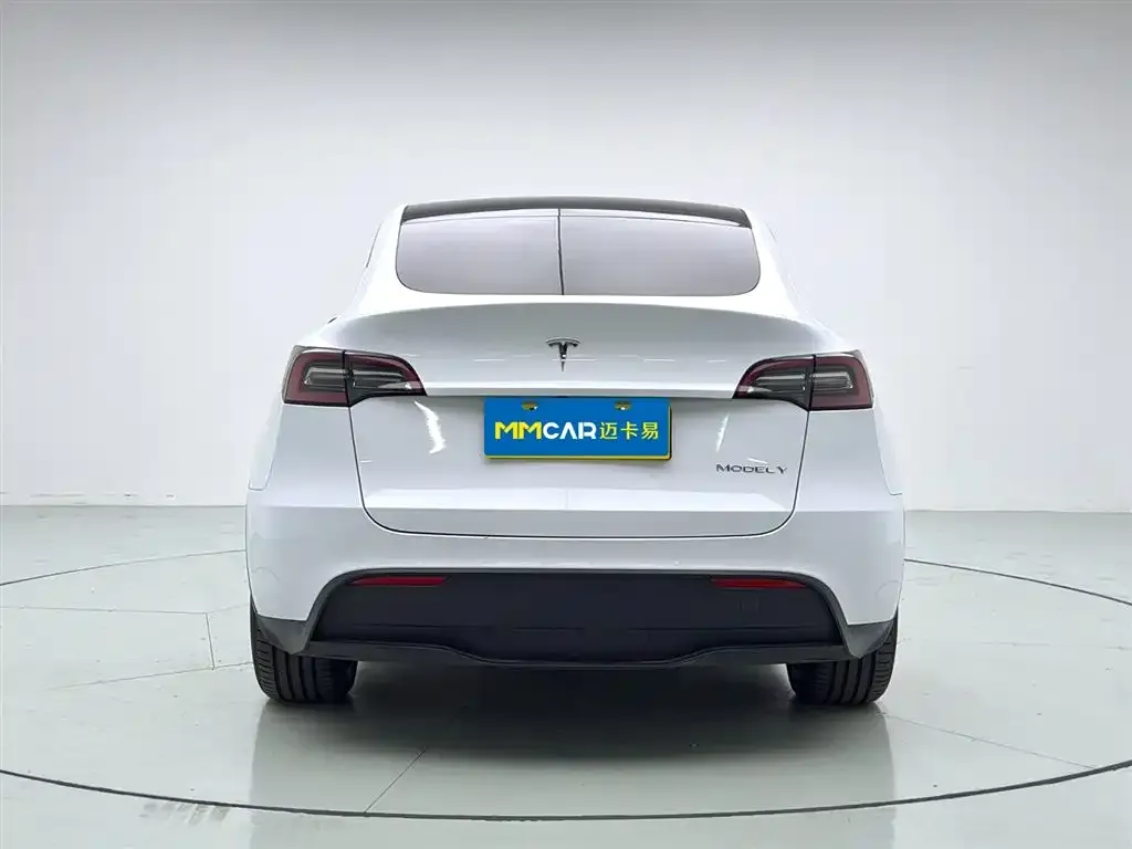 Tesla Model Y 2021 из CN, фото 4