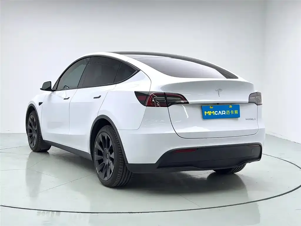 Tesla Model Y 2021 из CN, фото 5