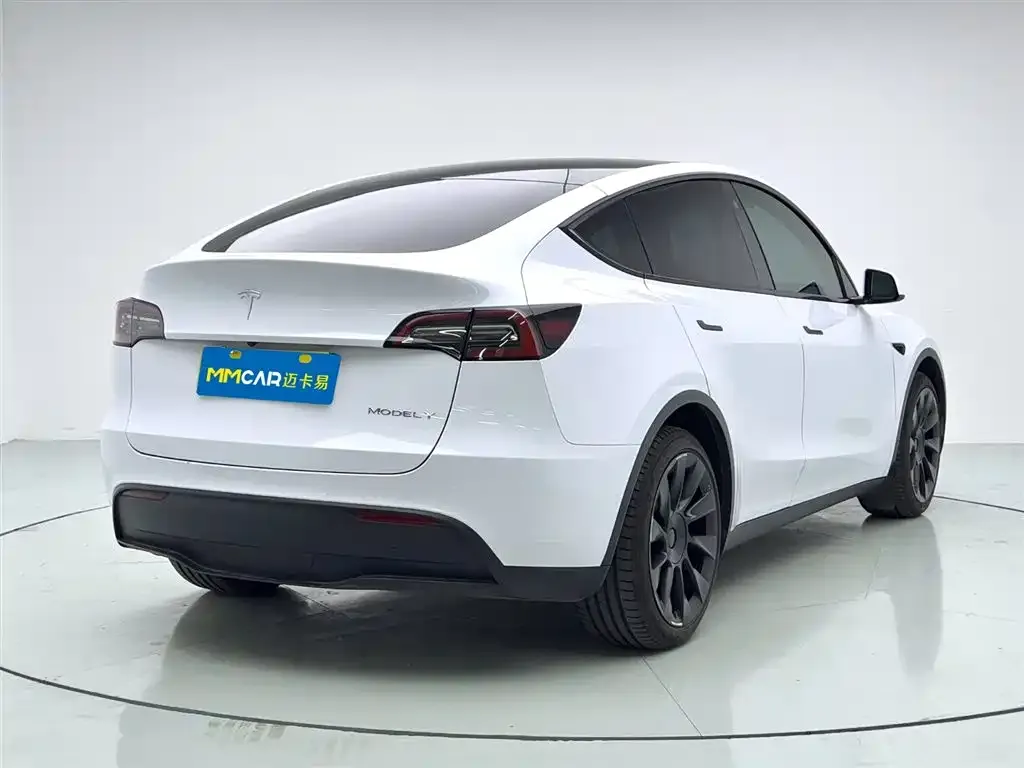 Tesla Model Y 2021 из CN, фото 6