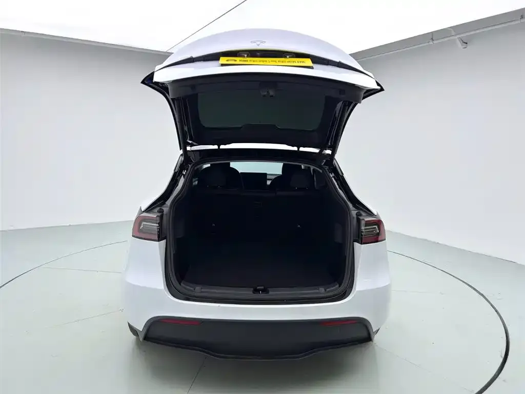Tesla Model Y 2021 из CN, фото 8