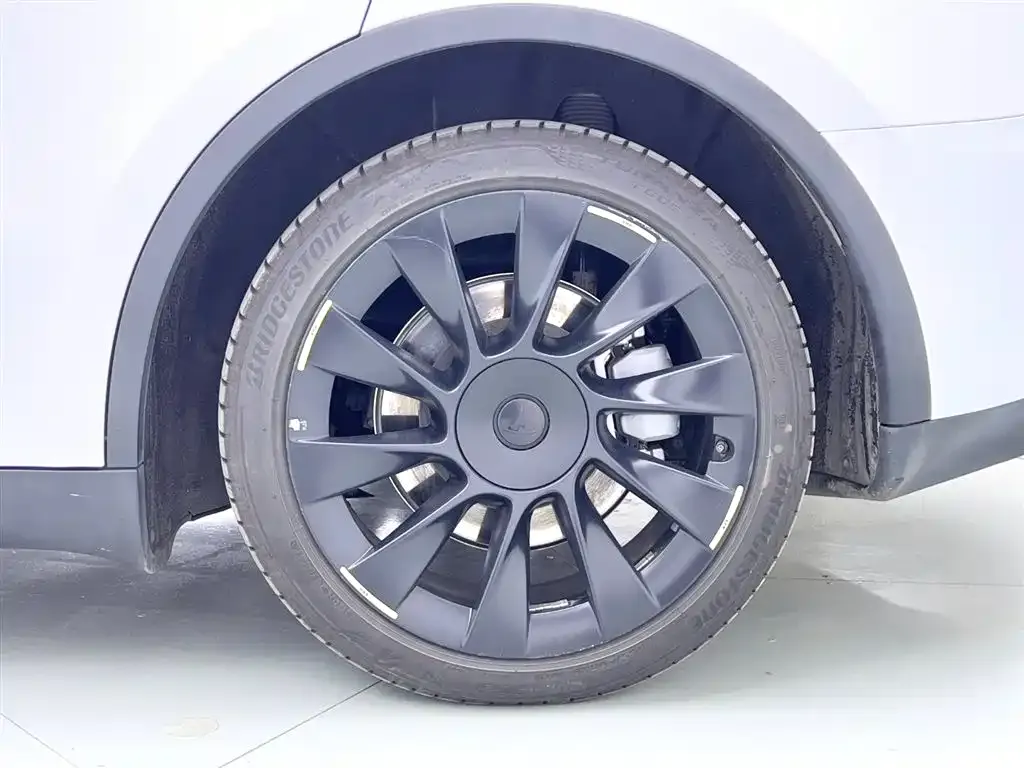 Tesla Model Y 2021 из CN, фото 9