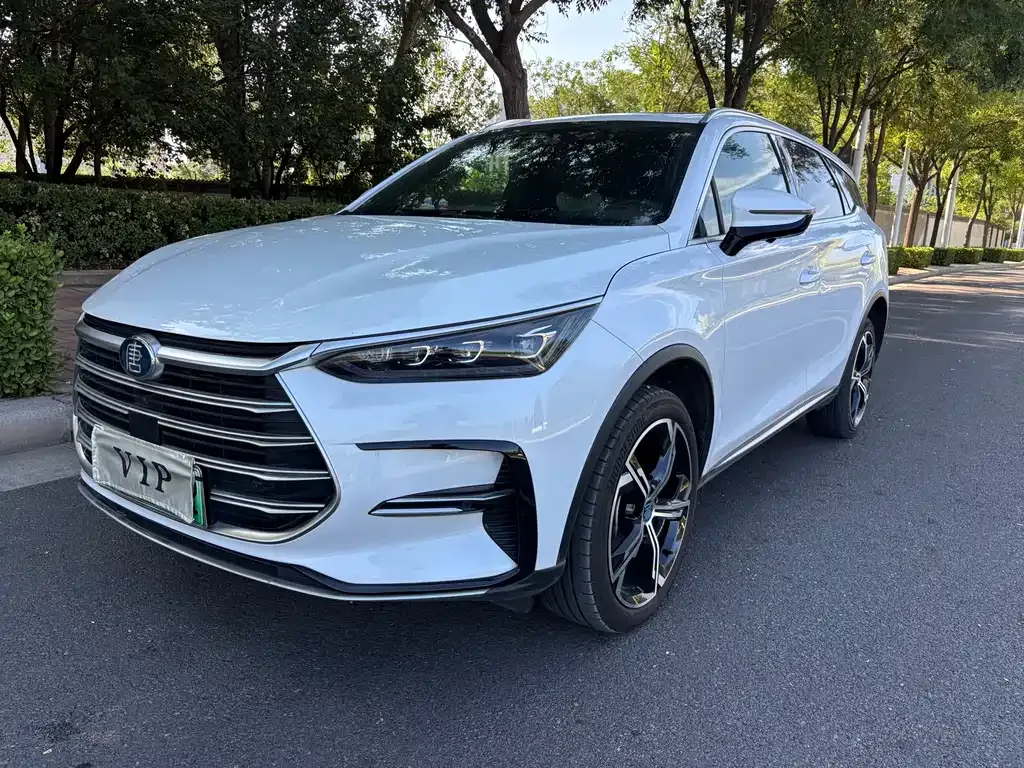 BYD Tang New Energy 2023 из CN, фото 1