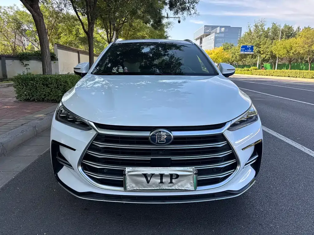BYD Tang New Energy 2023 из CN, фото 2