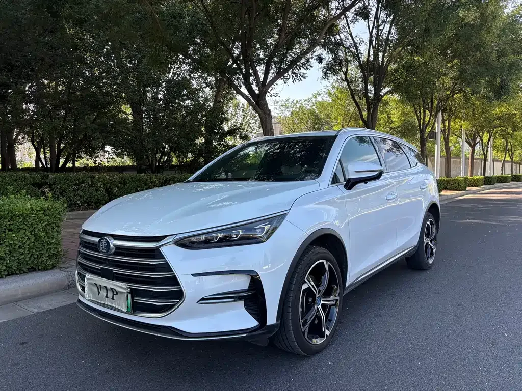 BYD Tang New Energy 2023 из CN, фото 3