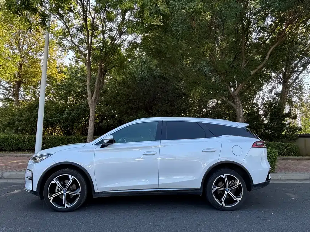 BYD Tang New Energy 2023 из CN, фото 4