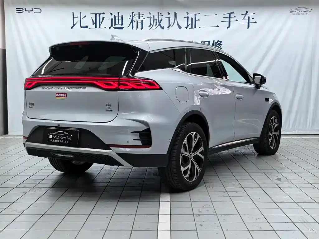 BYD Tang New Energy 2025 из CN, фото 5
