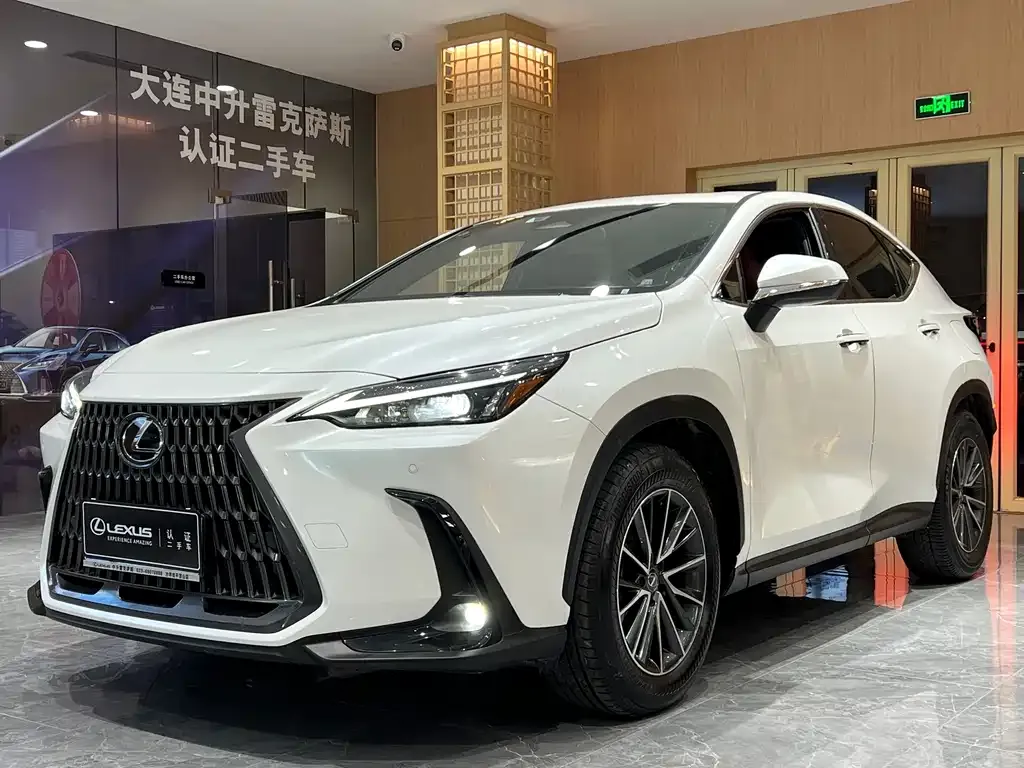 Lexus NX 2023 из CN, фото 1