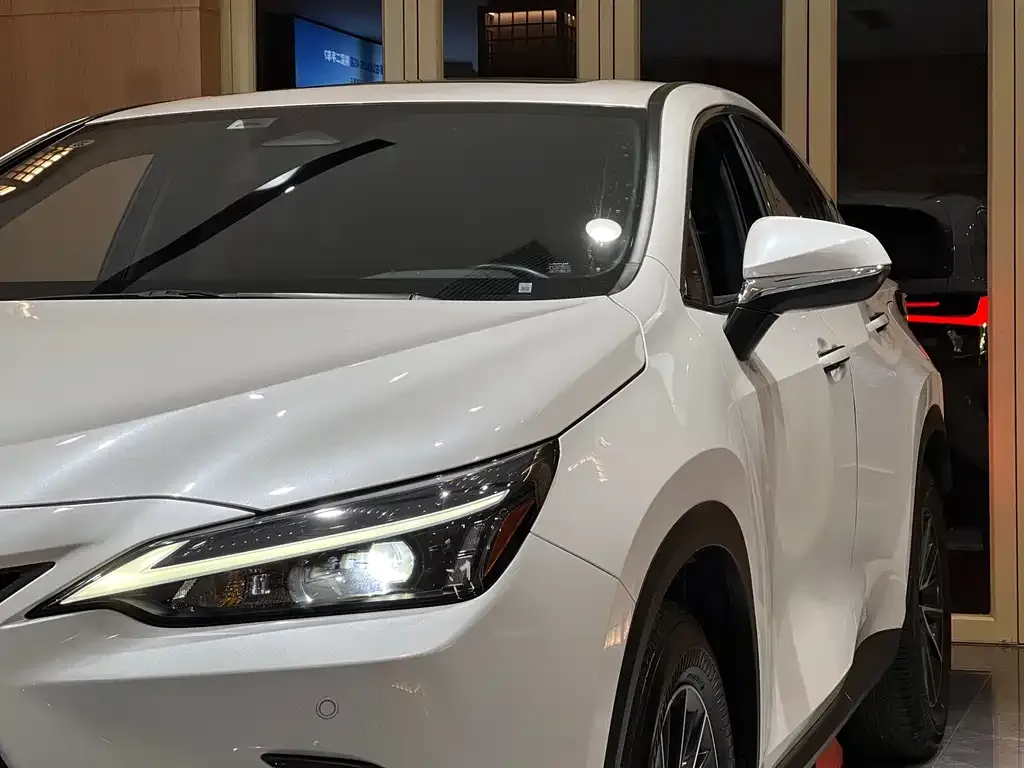 Lexus NX 2023 из CN, фото 10