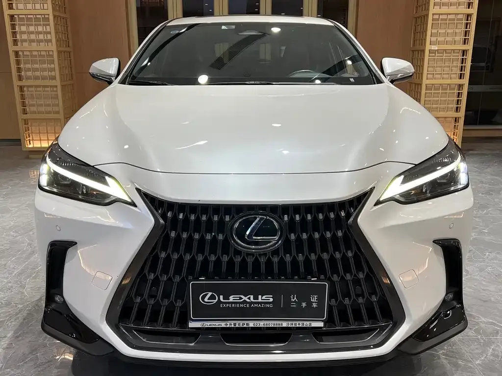 Lexus NX 2023 из CN, фото 2
