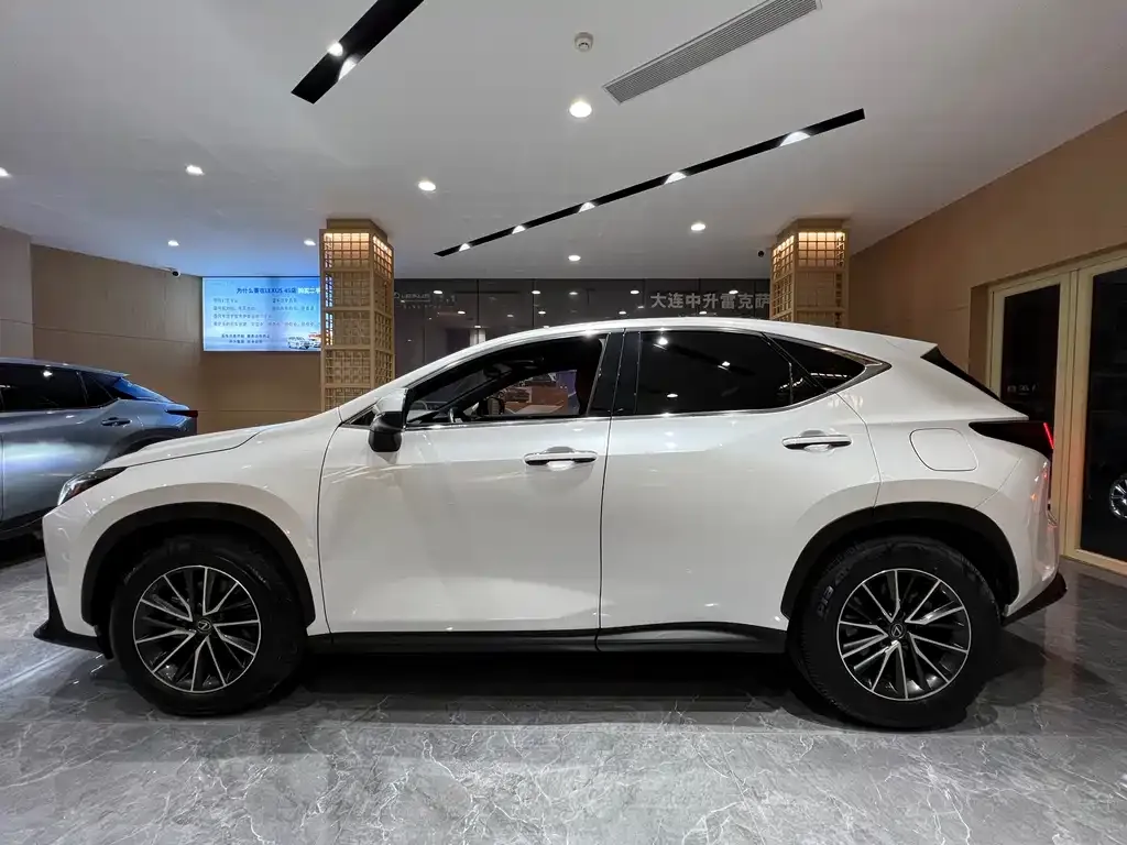 Lexus NX 2023 из CN, фото 3