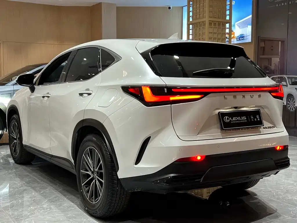 Lexus NX 2023 из CN, фото 4