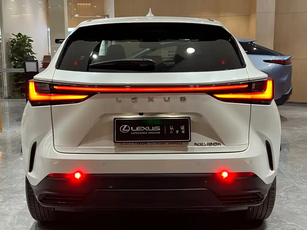Lexus NX 2023 из CN, фото 5
